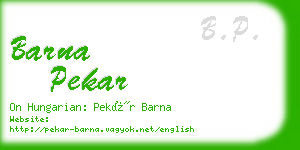 barna pekar business card